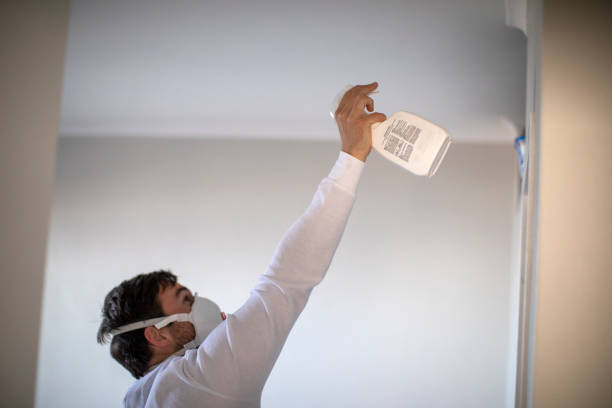Best Mold Damage Repair  in River Bend, NC
