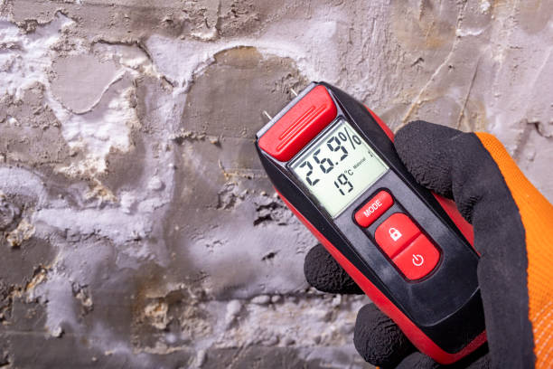 Best Residential Mold Removal  in River Bend, NC