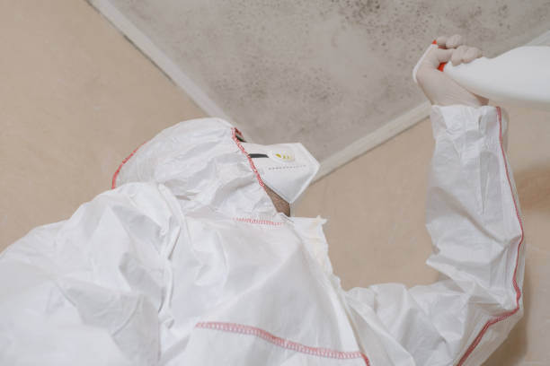 Best Commercial Mold Removal  in River Bend, NC
